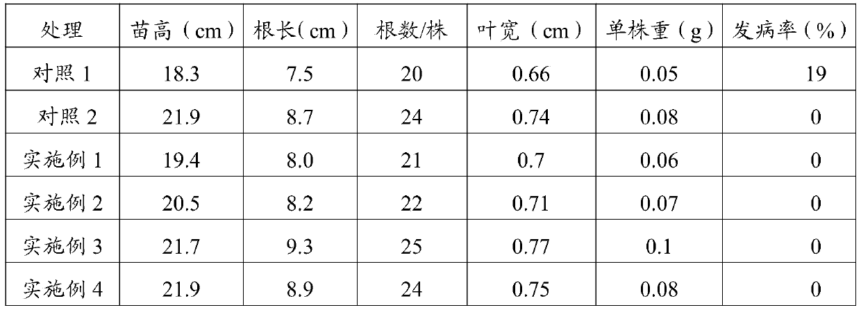 Rice seedling culture substrate and application thereof