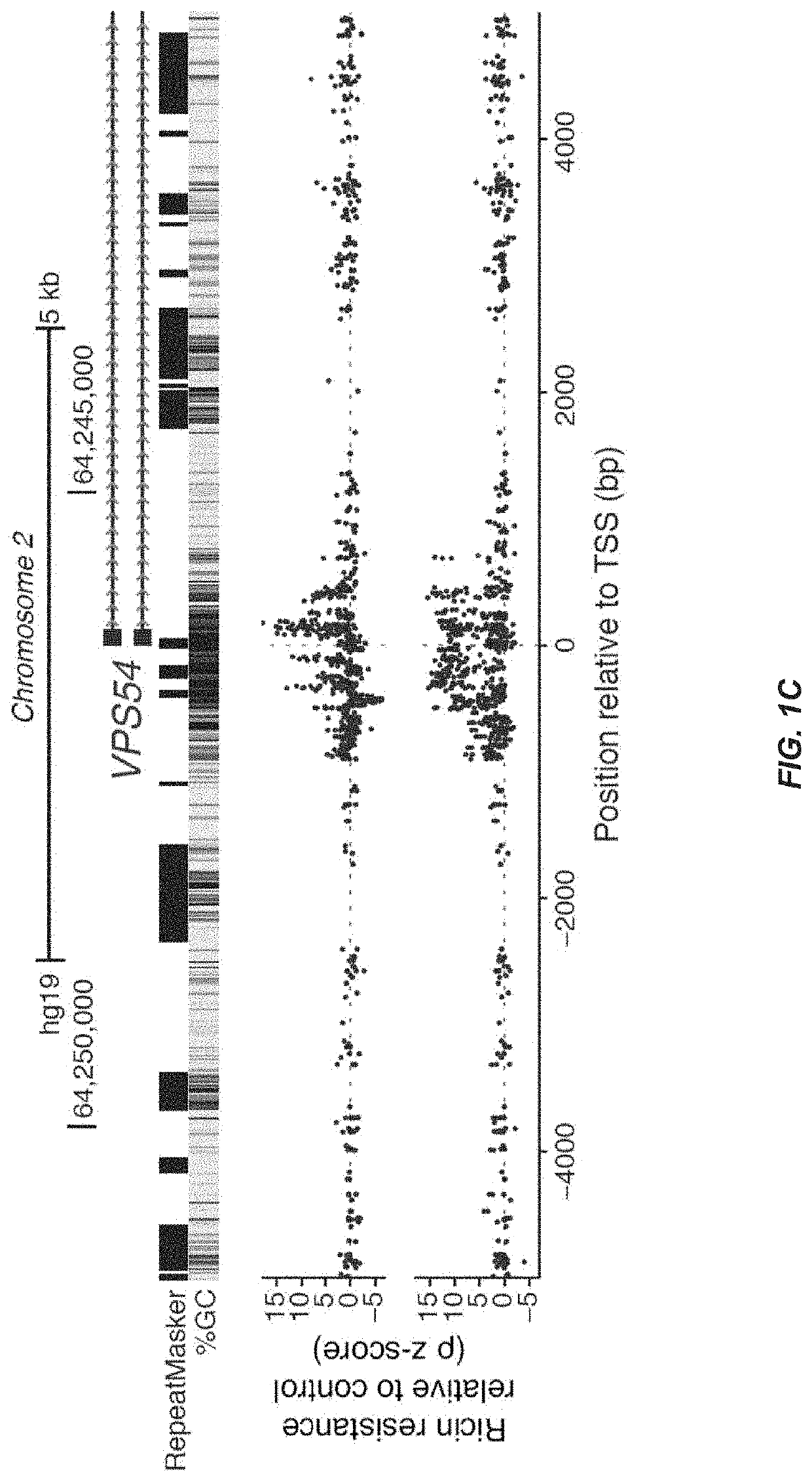 CRISPR/Cas transcriptional modulation