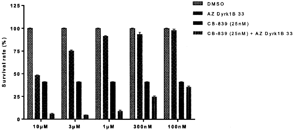 Uses of glutaminase inhibitor and Dyrk1B inhibitor for treatments of solid tumors