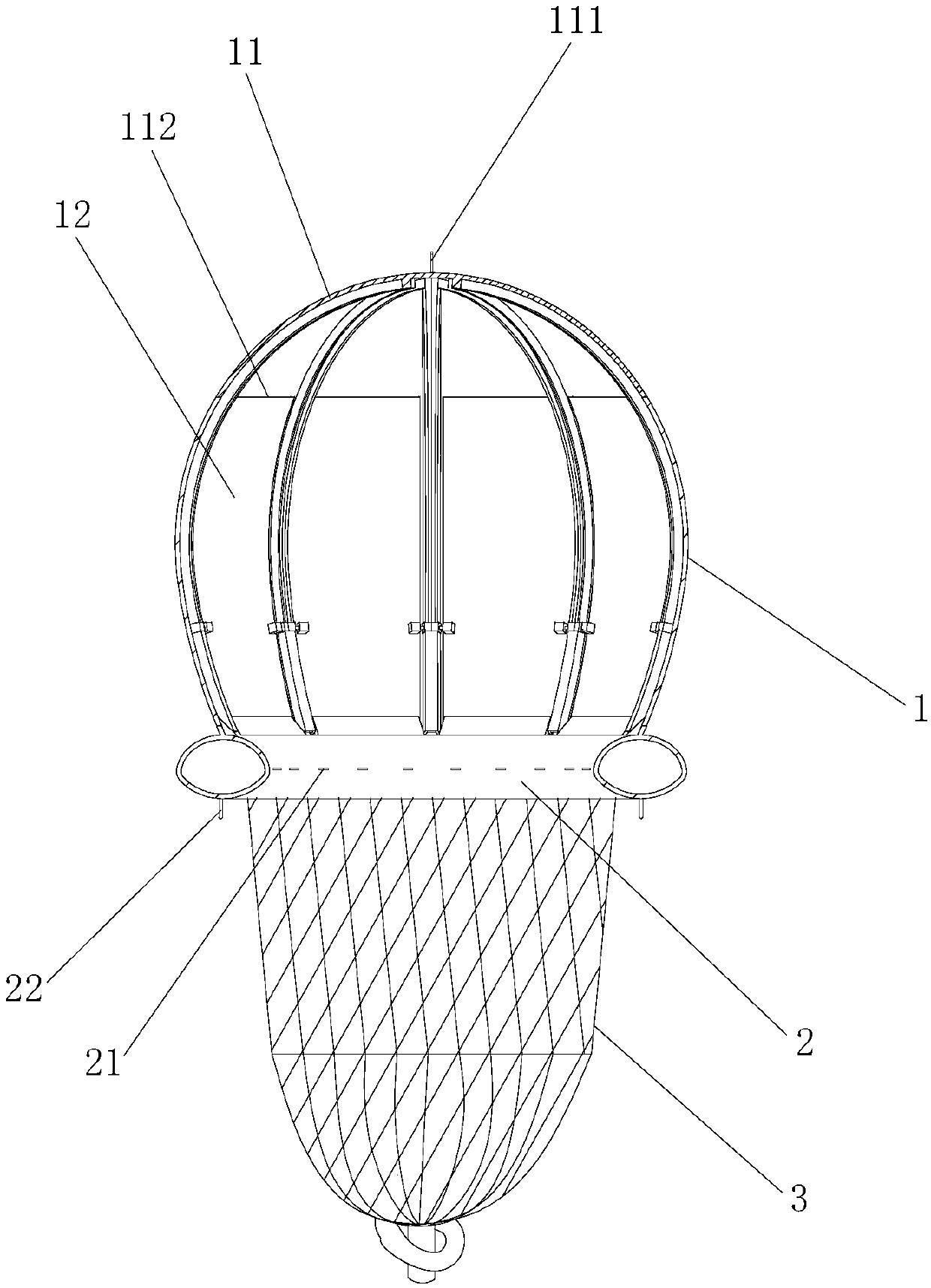 Ampullaria gigas spix trapping device