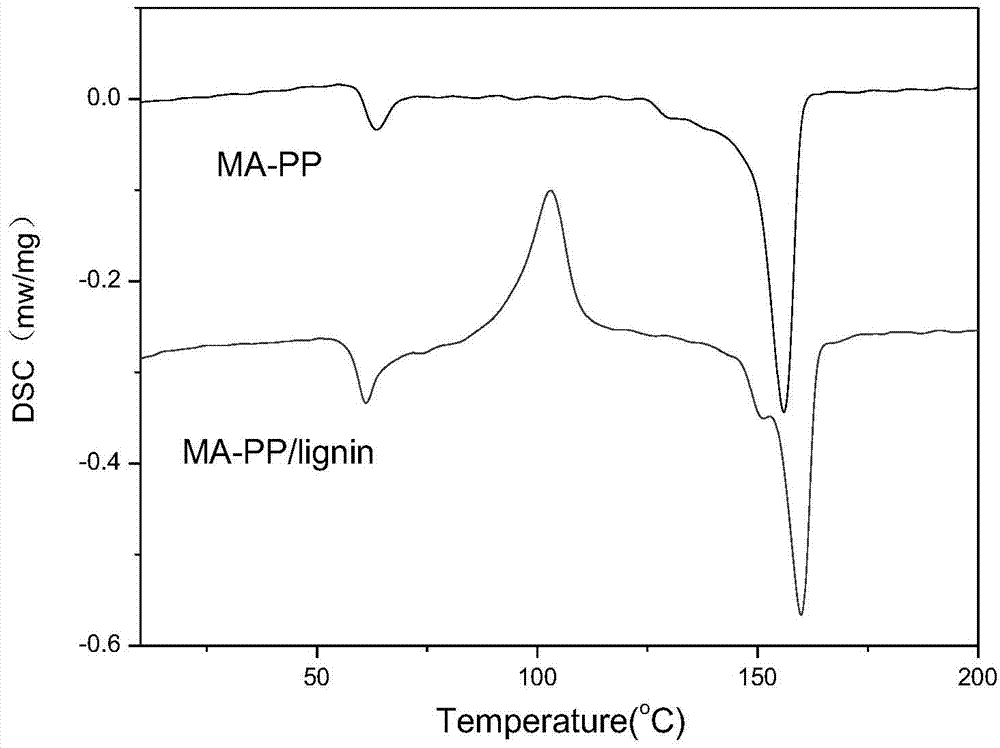 Method for improving thermal degradation capacity of maleic anhydride grafted polypropylene plastic