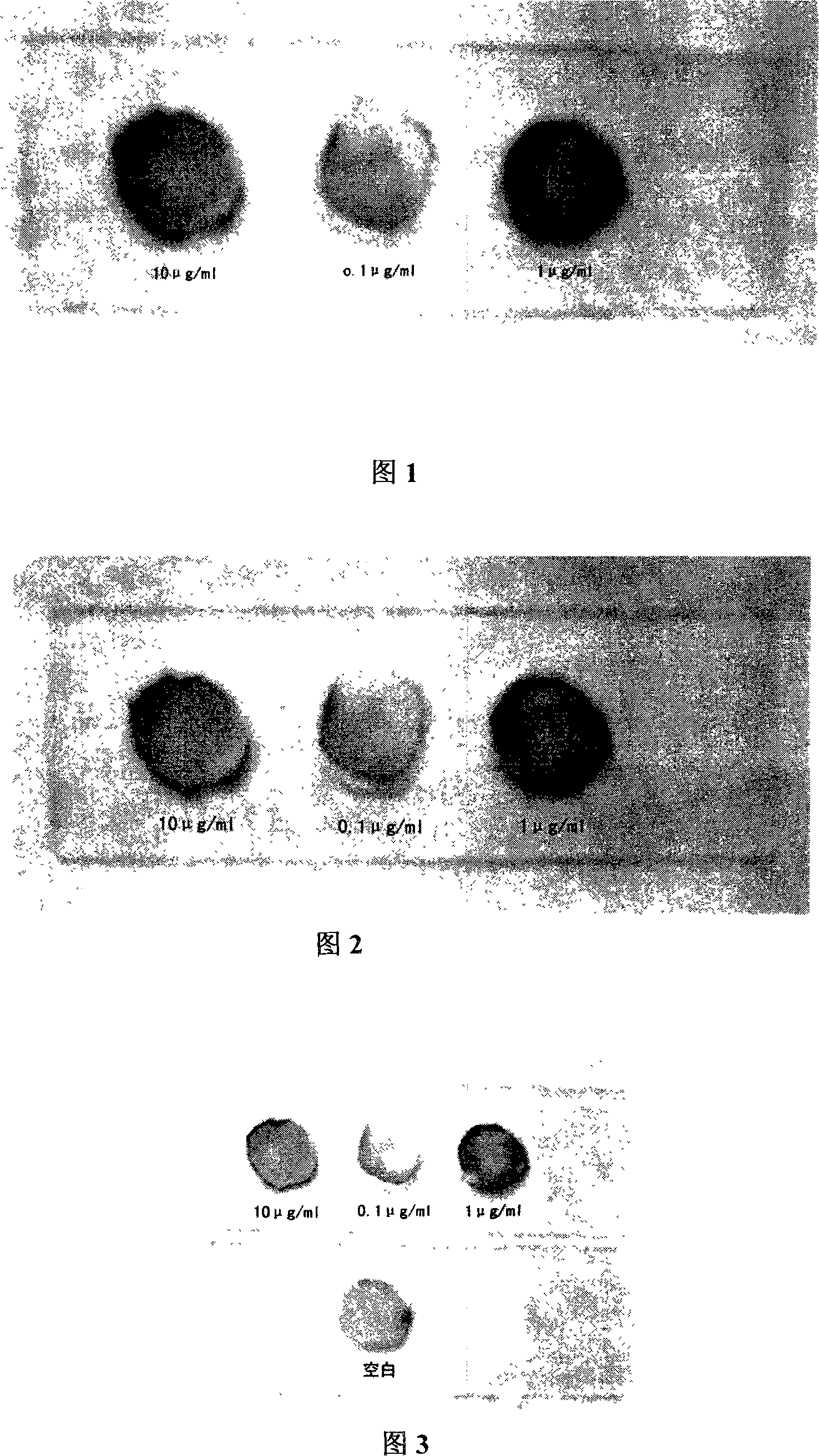 Extraction method for acetylcholinesterase and application thereof