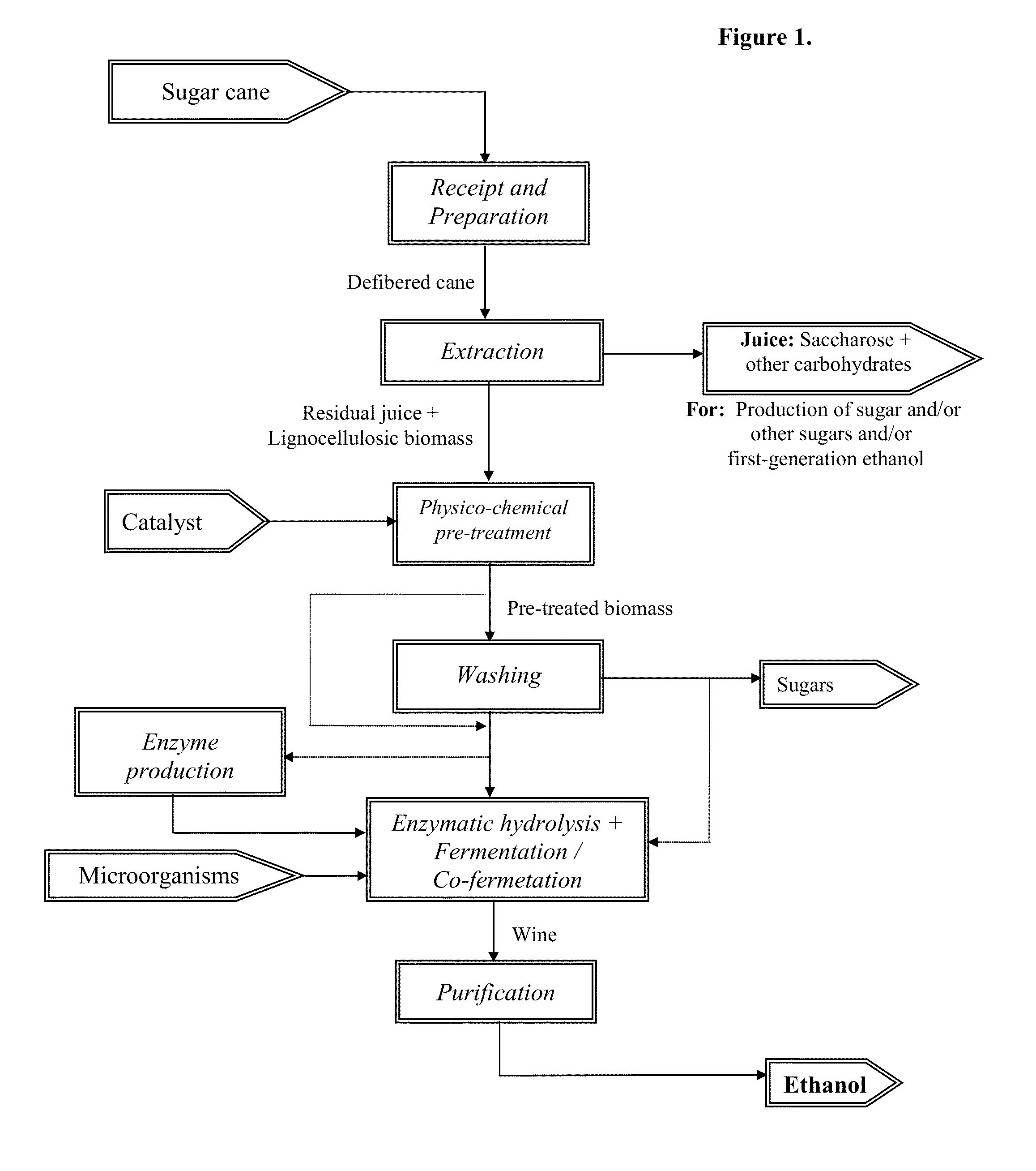 Method for processing vegetable biomass