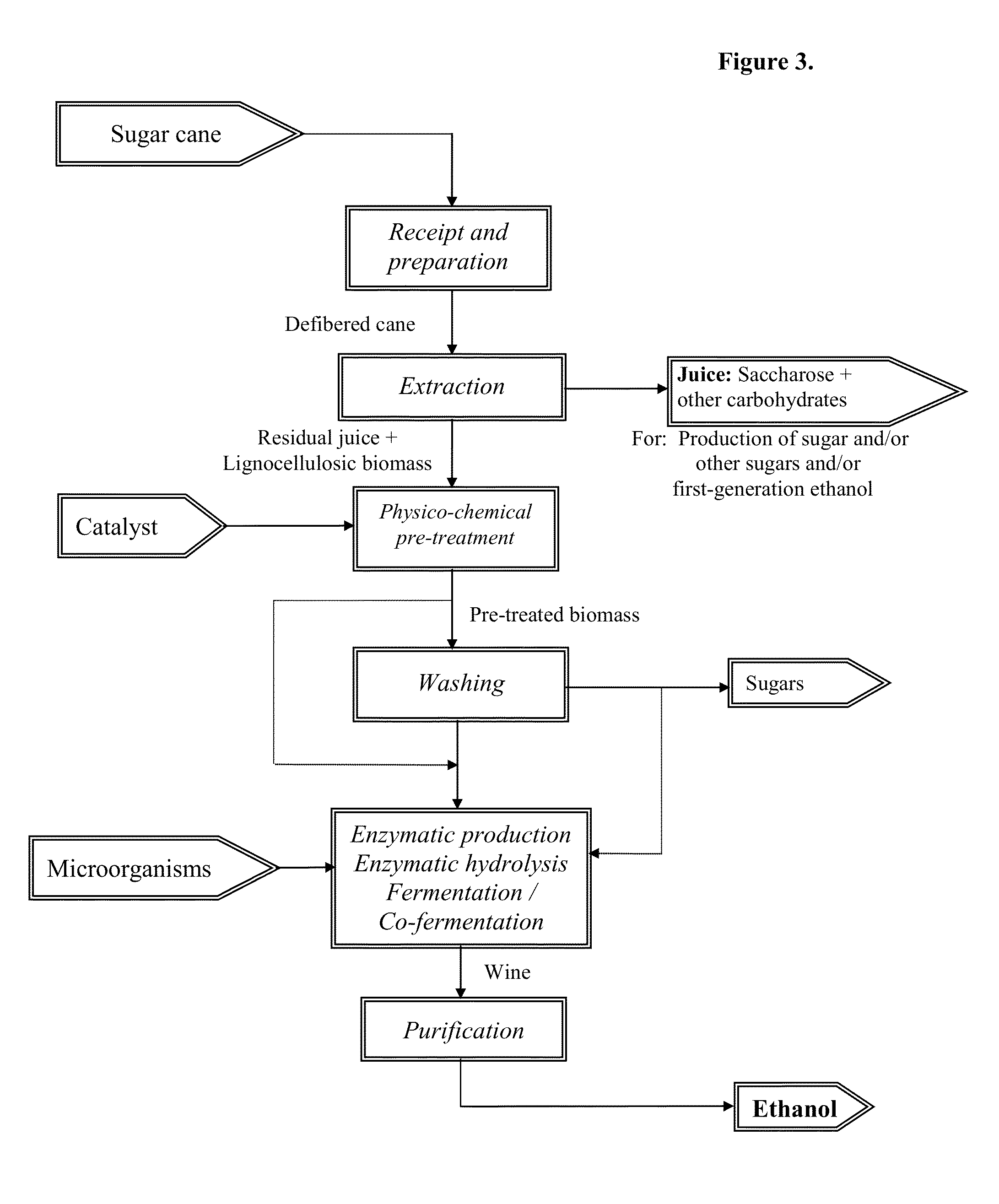 Method for processing vegetable biomass