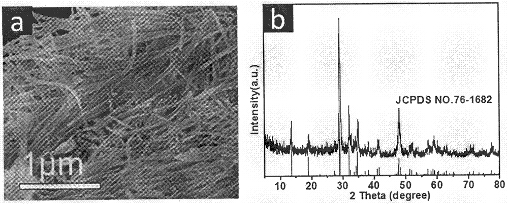 Method for controllably synthesizing alkali metal titanate nanowires and converting alkali metal titanate nanowires into titanium dioxide nanowires