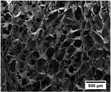 A kind of three-dimensional network chitosan sustained-release coating and preparation method thereof