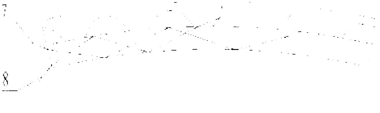 Composite light guide plate and production method thereof