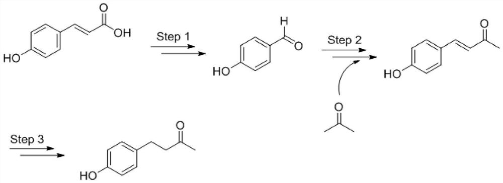 A kind of industrialized fermentation production method of raspberry ketone