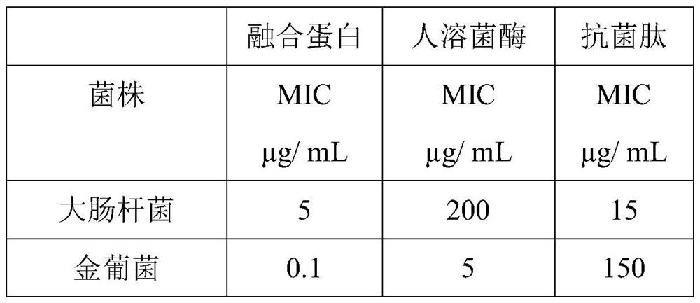 A kind of recombinant lysozyme antibacterial peptide fusion protein and its preparation method and application