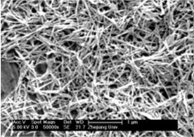 Method for preparing barium titanate monocrystal nano particles of six-pin structural perovskite
