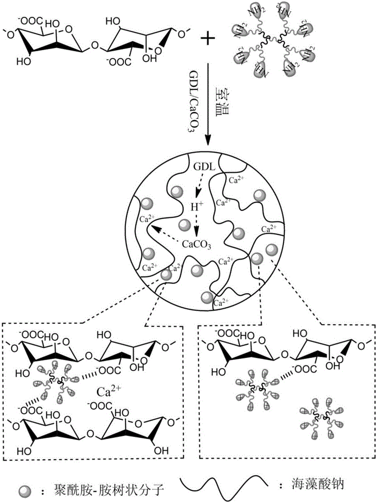 Polyamide-amine dendrimer supported sodium alginate antibacterial hydrogel as well as preparation method and application thereof