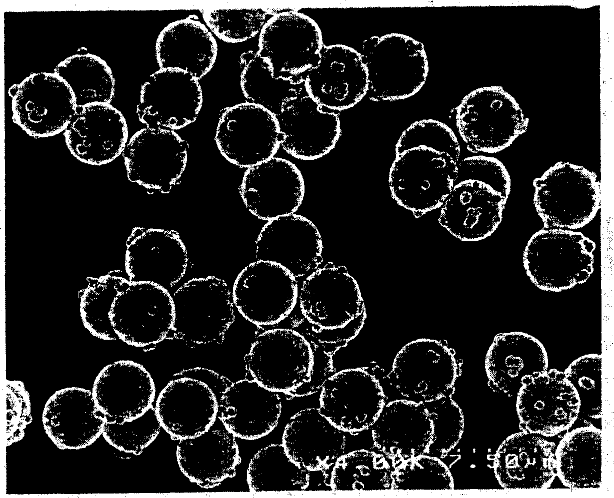 Conductive fine particle and anisotropic conductive material