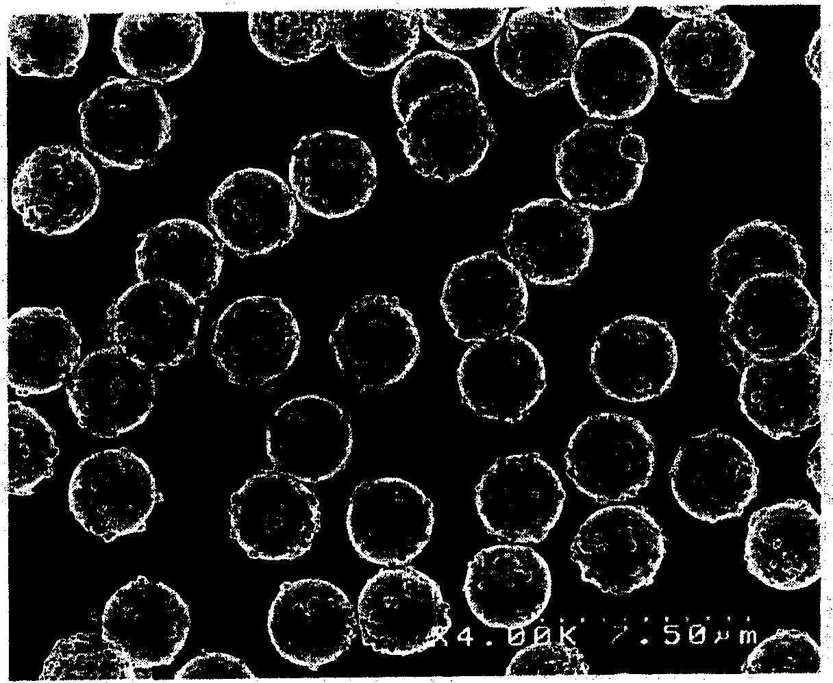 Conductive fine particle and anisotropic conductive material