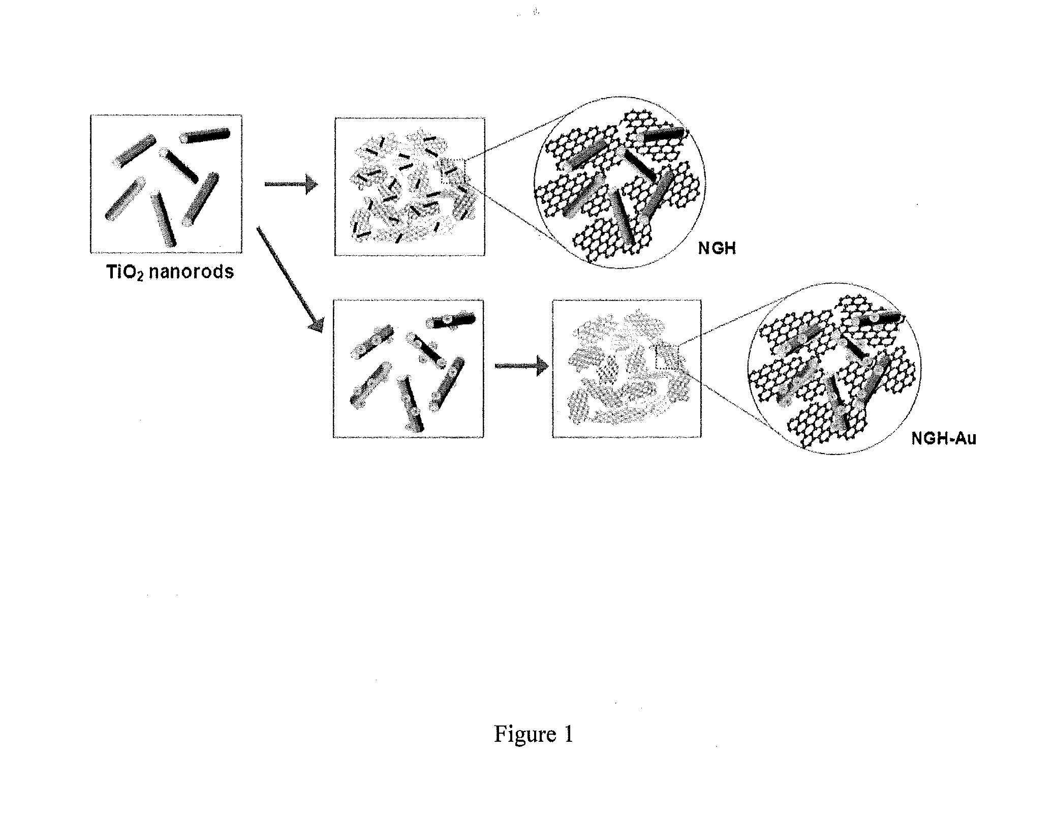 Hydrogel nanocomposite