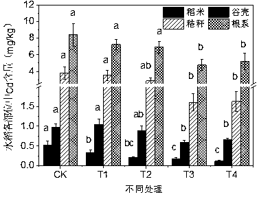 Safe rice production method applied to soil with medium and mild cadmium contamination