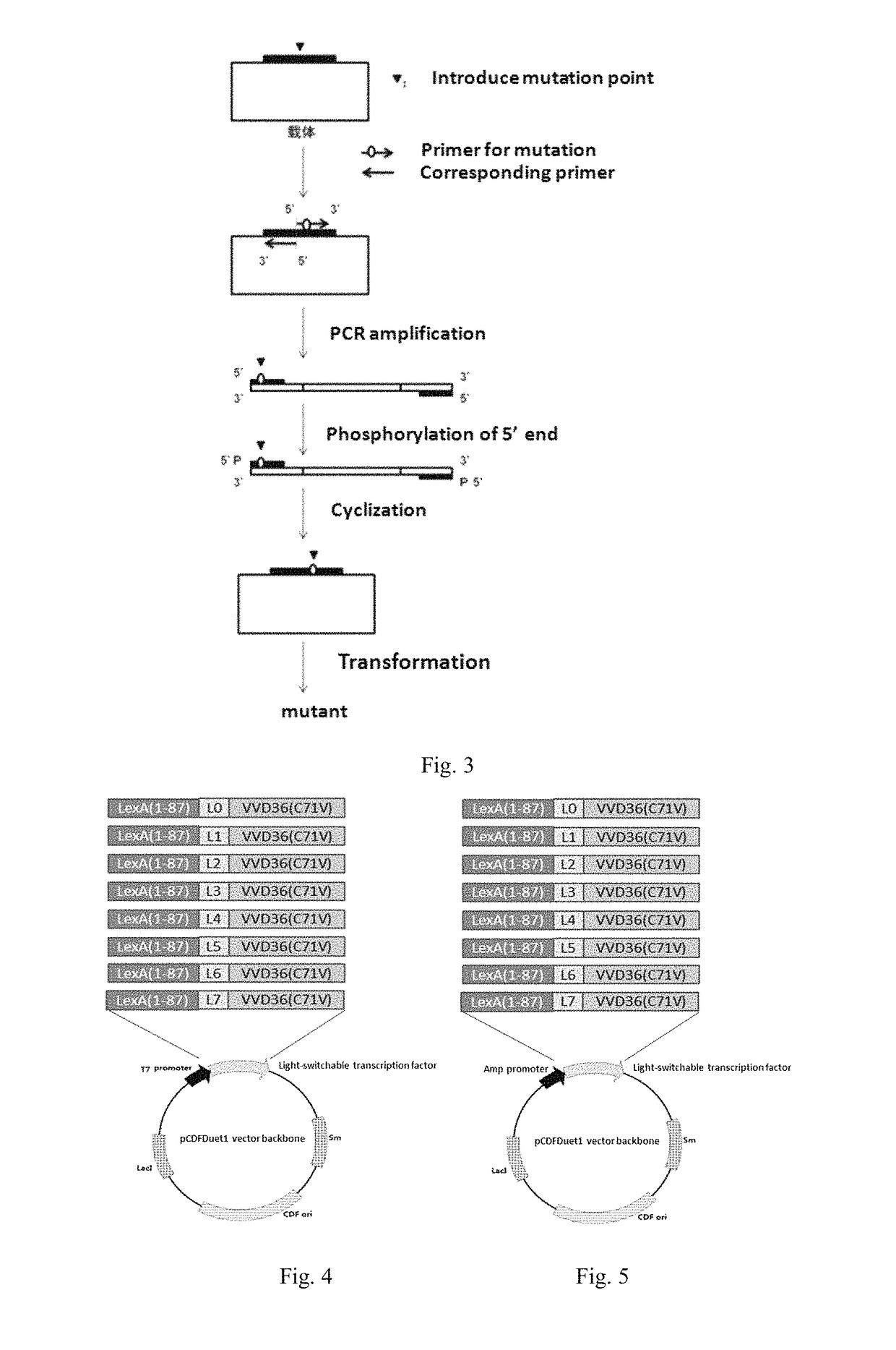Light-switchable gene expression system and the methods for controlling gene expression in prokaryotic bacterium