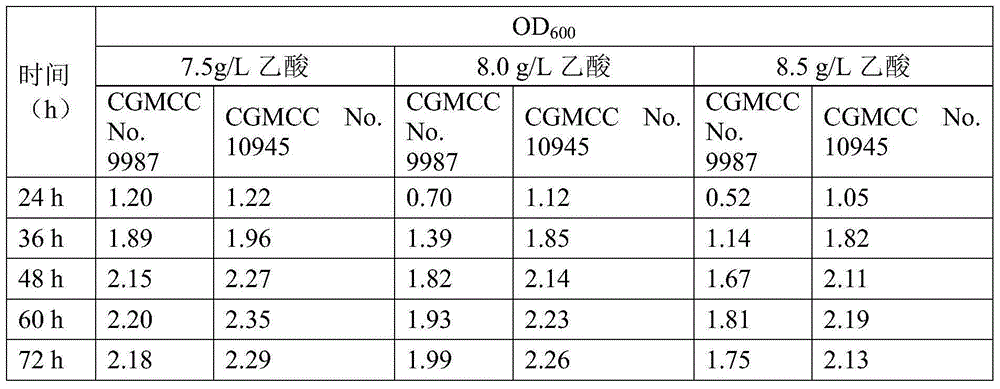Zymomonas mobilis with resistance to acetic acid of high concentration and application thereof