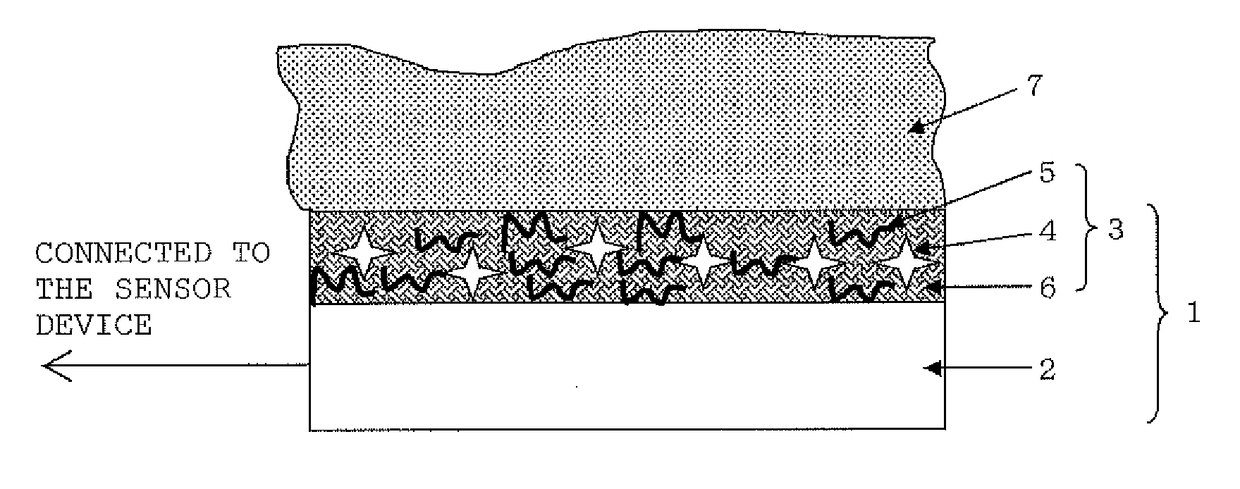 Bio-electrode composition, bio-electrode, method for manufacturing the bio-electrode, and polymer