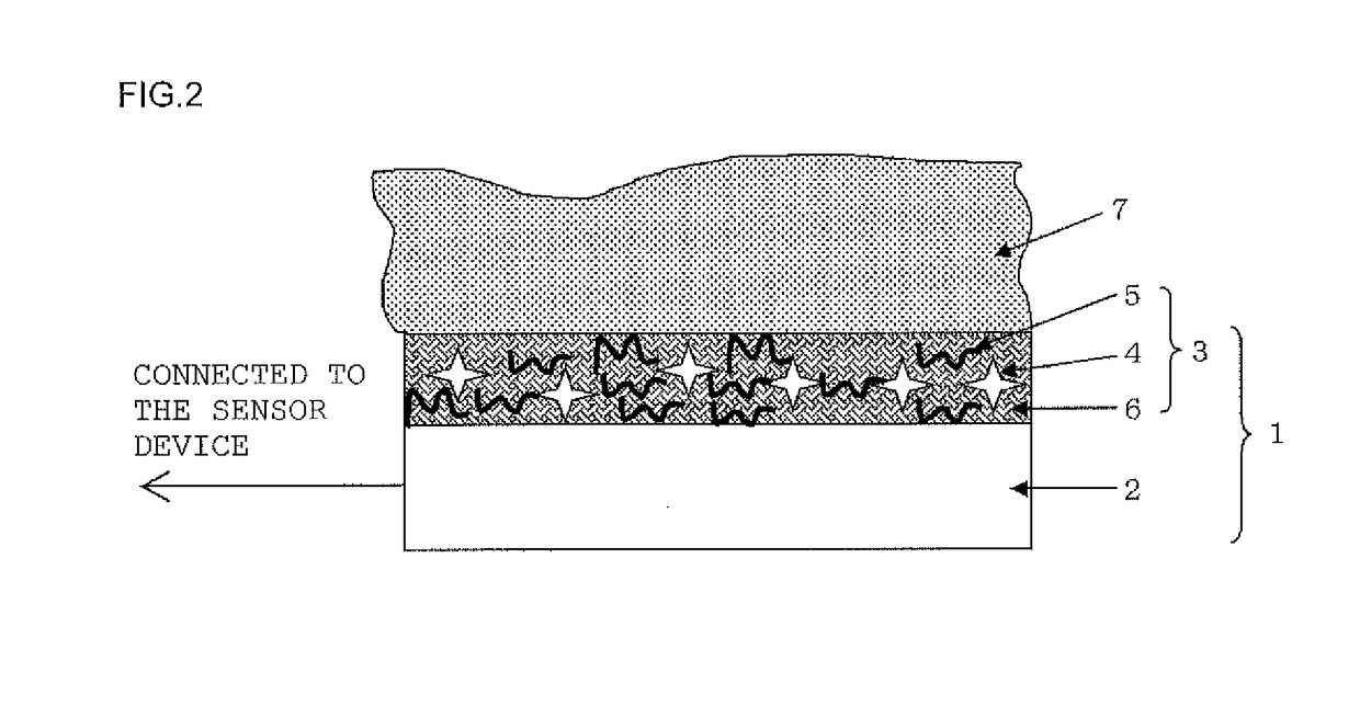 Bio-electrode composition, bio-electrode, method for manufacturing the bio-electrode, and polymer