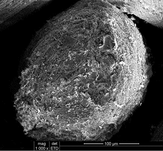 Chitosan-hydroxylapatite in-situ loaded icariin composite microspheres