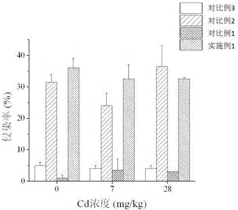 Method for improving recovering efficiency of cadmium polluted soil through lantana