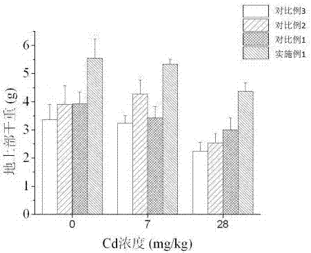 Method for improving recovering efficiency of cadmium polluted soil through lantana