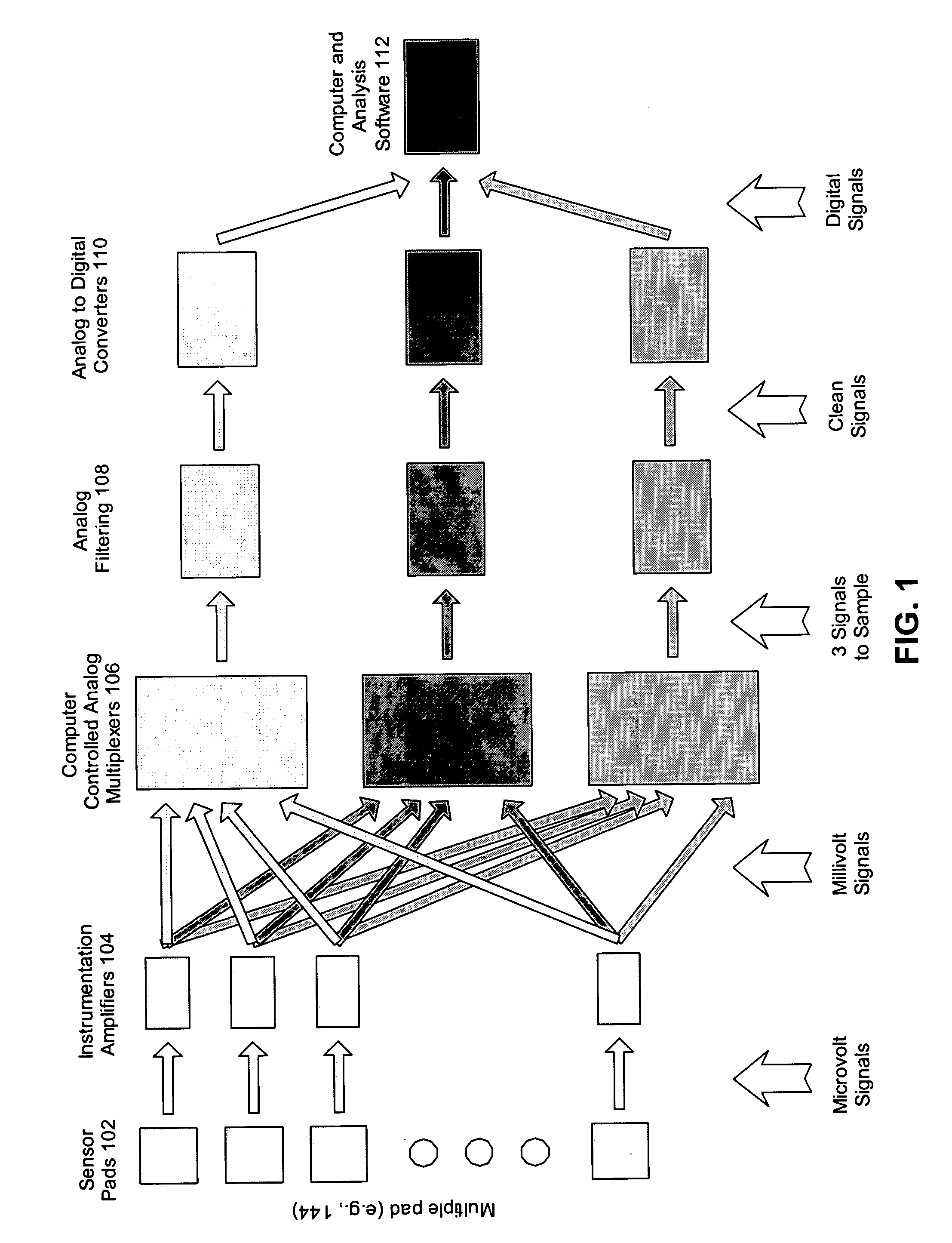 System and method for detecting and analyzing electrocardiological signals of a laboratory animal