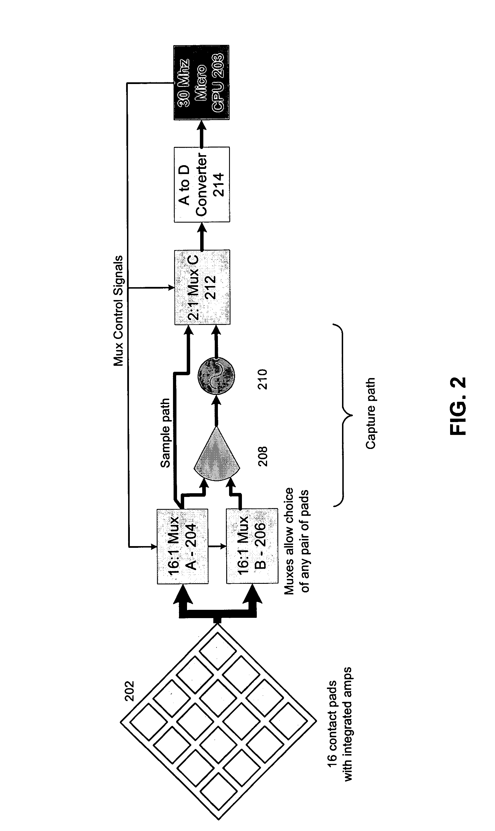 System and method for detecting and analyzing electrocardiological signals of a laboratory animal