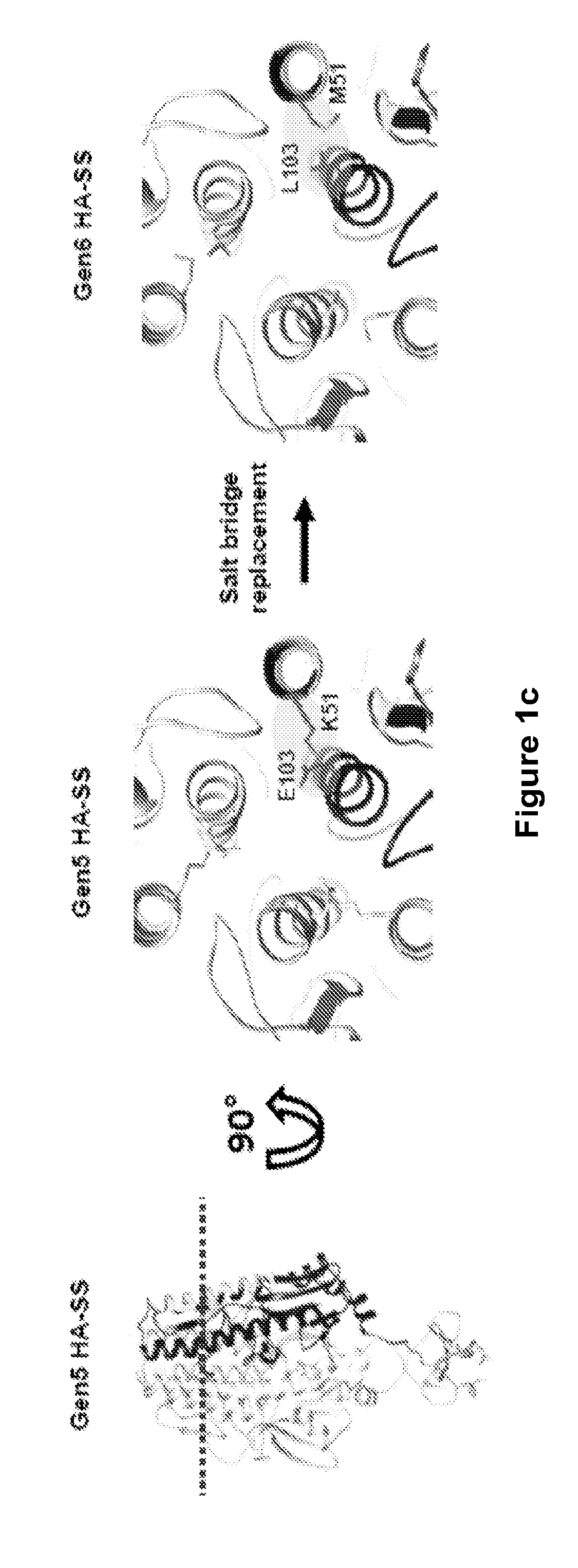 Stabilized influenza hemagglutinin stem region trimers and uses thereof