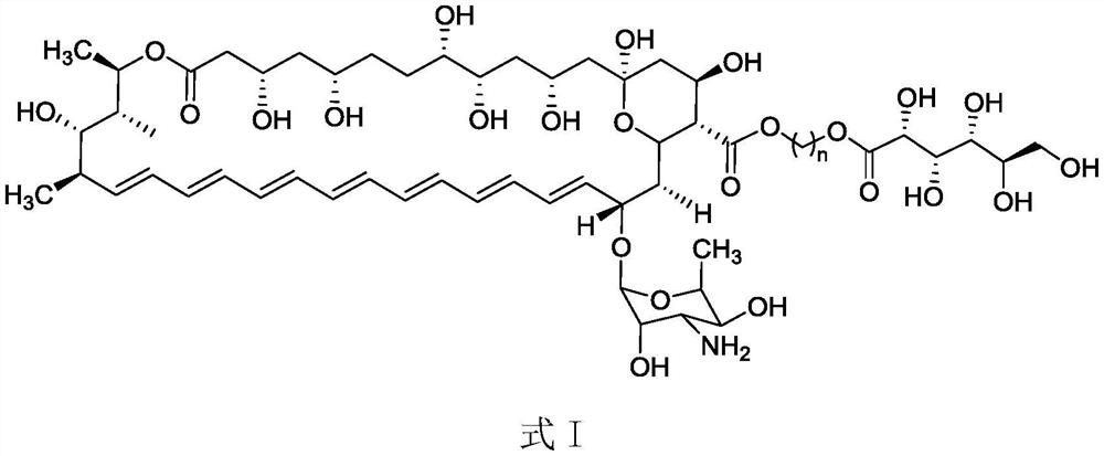 Ester derivative of amphotericin B and application of ester derivative