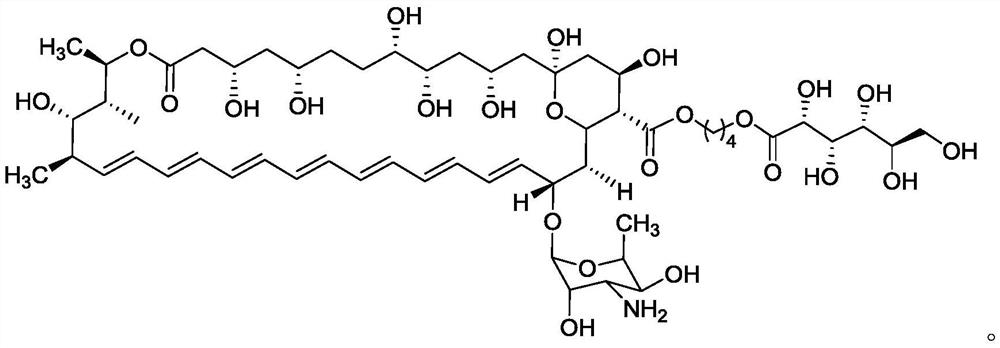 Ester derivative of amphotericin B and application of ester derivative