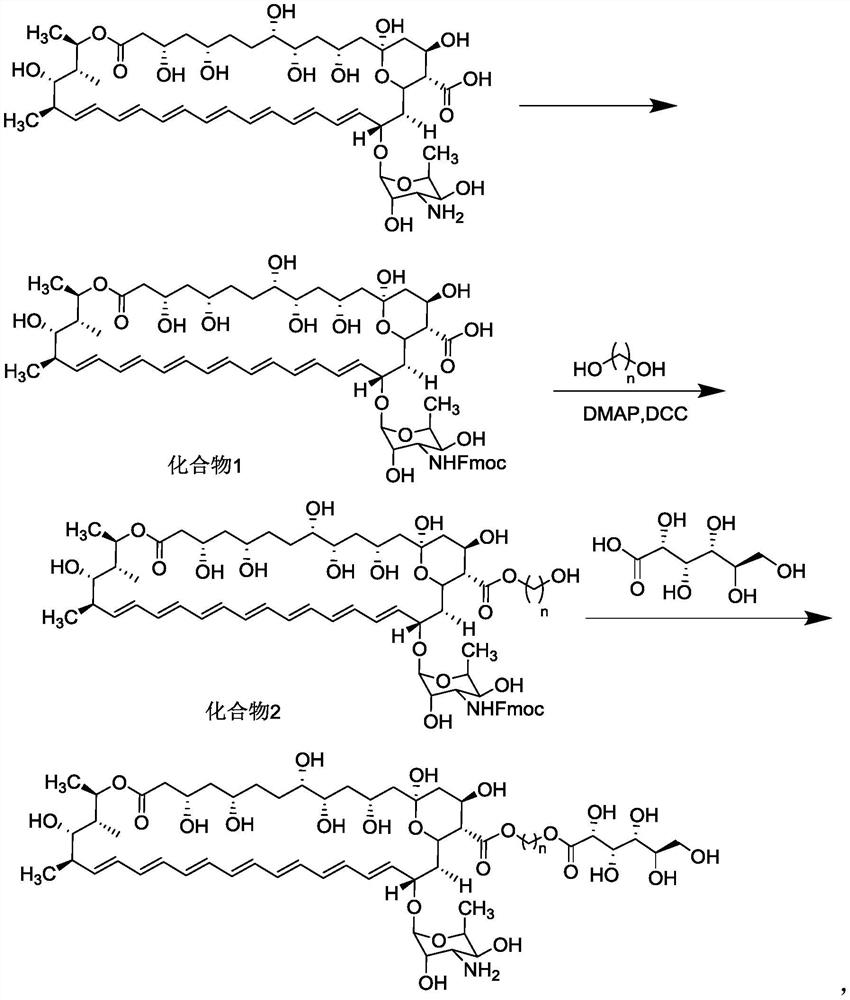 Ester derivative of amphotericin B and application of ester derivative