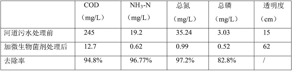 Compound microbial agent for river regulation, preparation method of compound microbial agent and river sewage treatment method