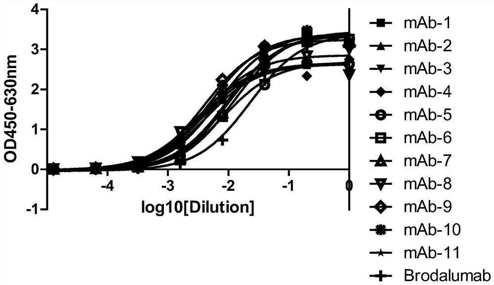 A kind of anti-il-17ra monoclonal antibody and its application