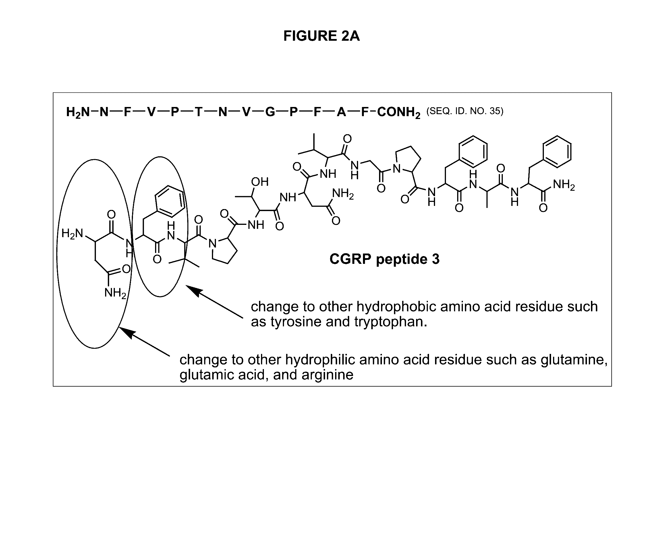 Compositions and methods for treating acute and chronic pain by local antagonism of cgrp receptors, or combination with sodium channel inhibition or with Anti-inflammatory agents