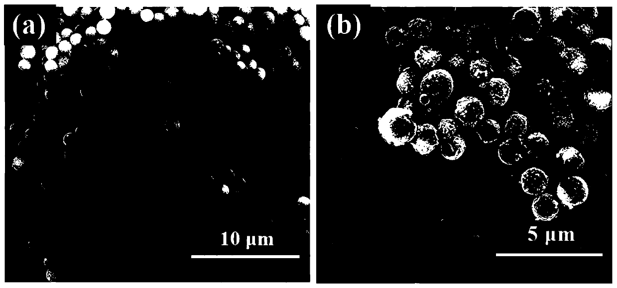 A co with hollow nanostructure  <sub>2</sub> p@c composite material and its preparation method and application