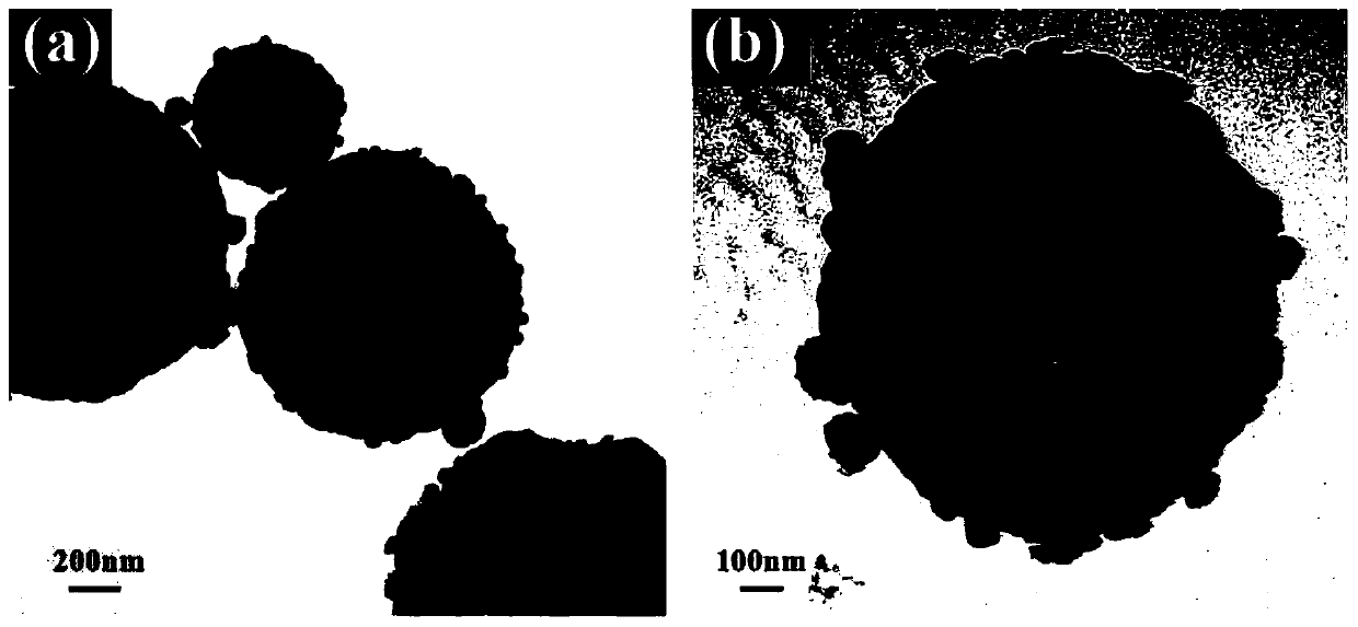 A co with hollow nanostructure  <sub>2</sub> p@c composite material and its preparation method and application