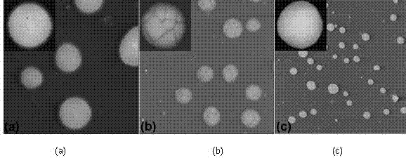 Preparing method for micro-nano organic ferroelectric particles