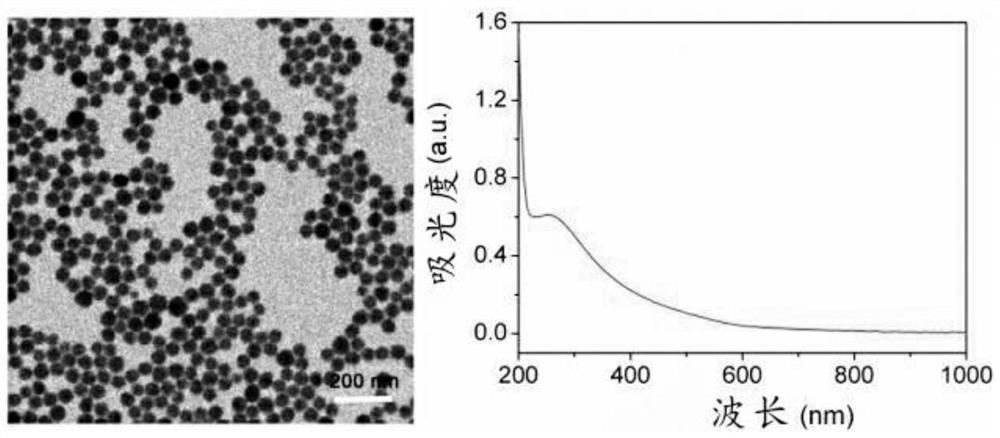 Copper-based nano photo-thermal material, preparation method thereof and application of copper-based nano photo-thermal material in cancer treatment