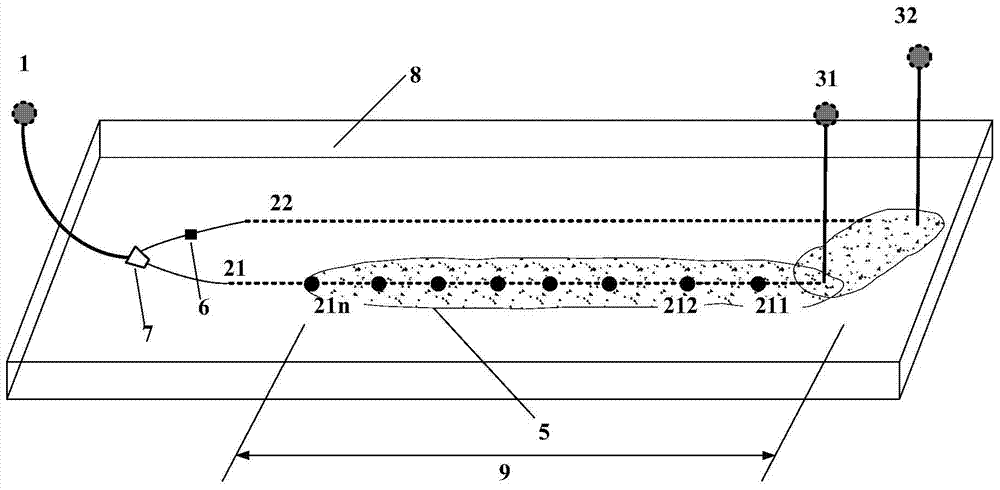 Coal bed gasification method and coal bed gasification furnace based on branch well