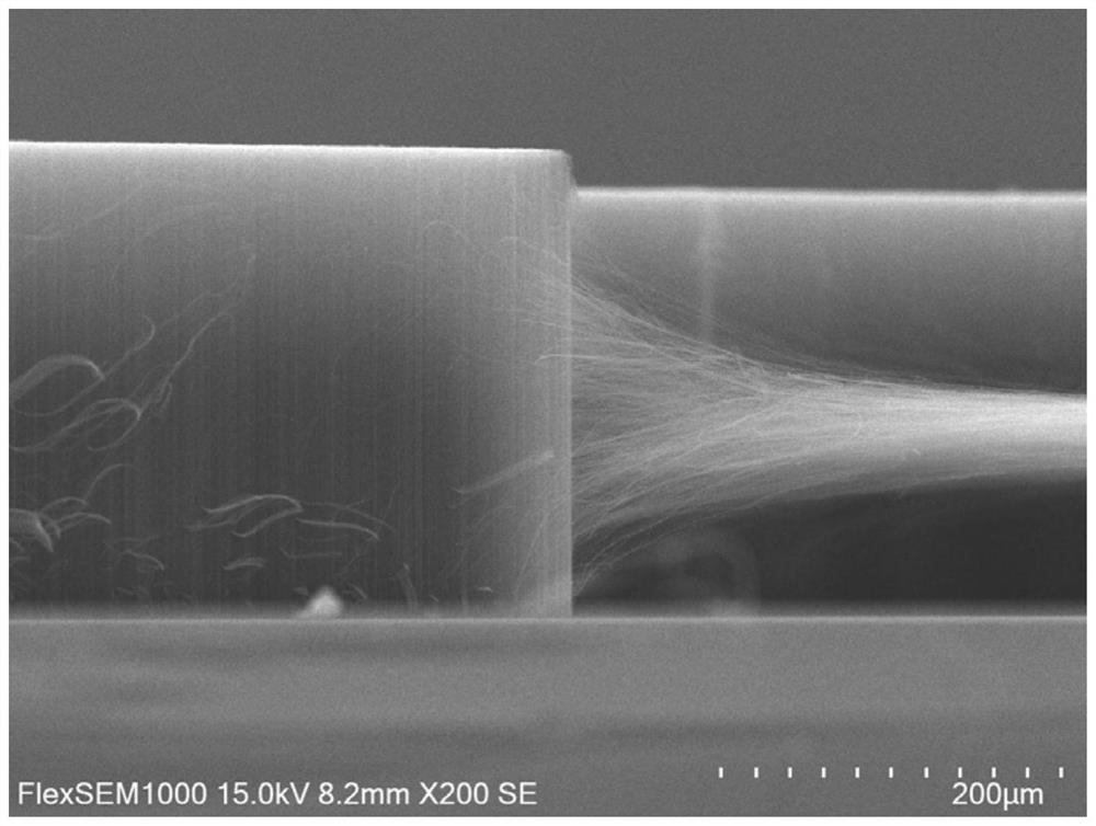 Preparation method of carbon nanotube, carbon nanotube fiber