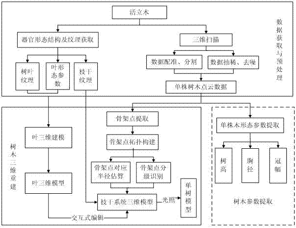 Point cloud data based single tree three-dimensional modeling and morphological parameter extracting method