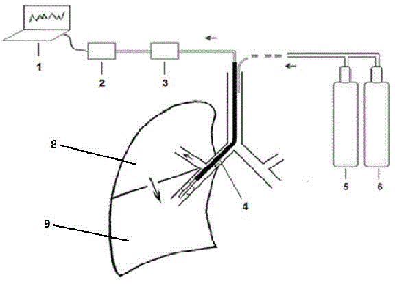 Lung collateral ventilation detection device