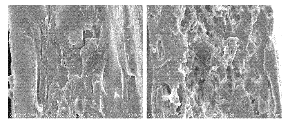 Starch/polylactic acid antibacterial activity packaging material as well as preparation method and application thereof