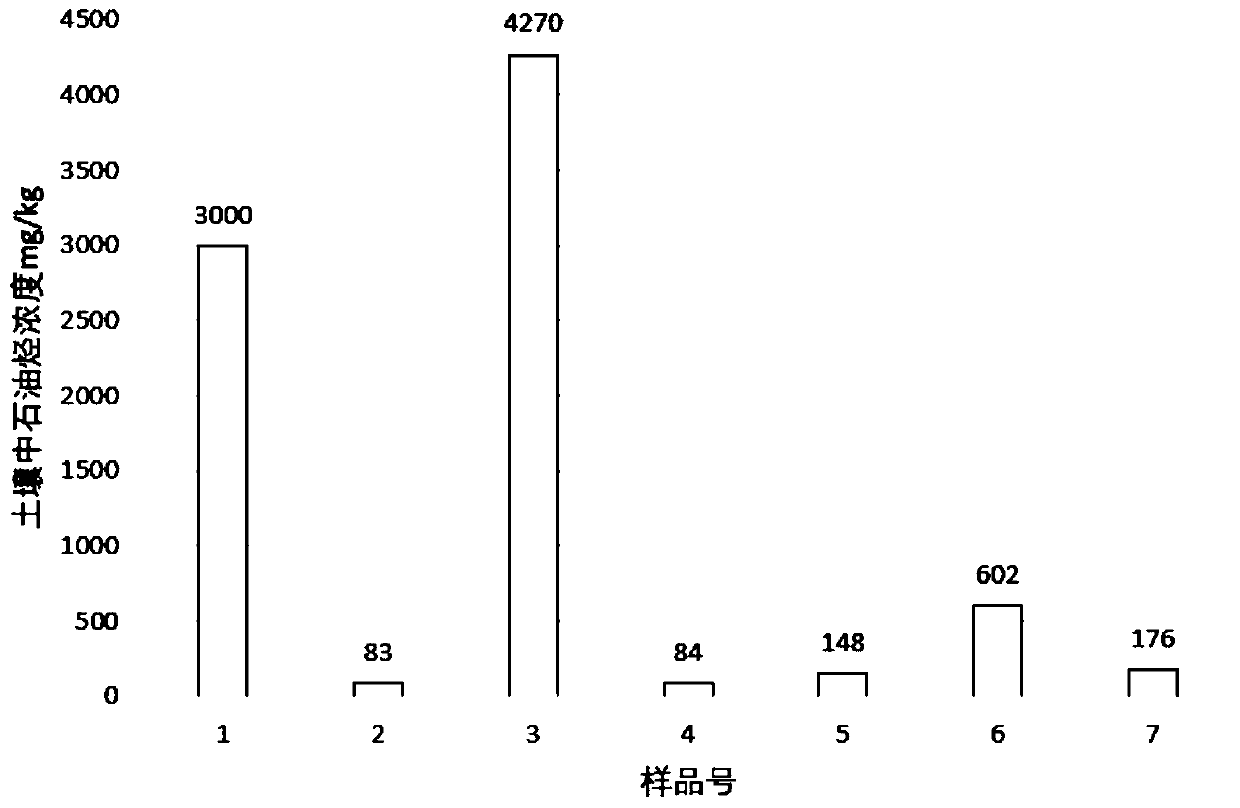 Plant-bacterium-fungus-rhamnolipid combined remediation method for petroleum-contaminated soil