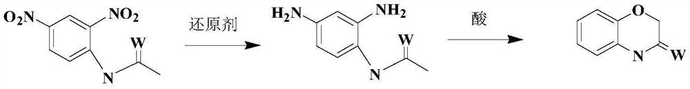 A kind of synthetic technique of 1,4 benzoxazinone compound