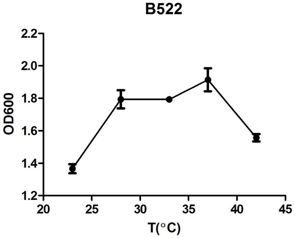 A strain of Paleobacterium intermedia b522 and its application