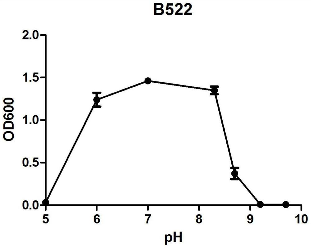 A strain of Paleobacterium intermedia b522 and its application