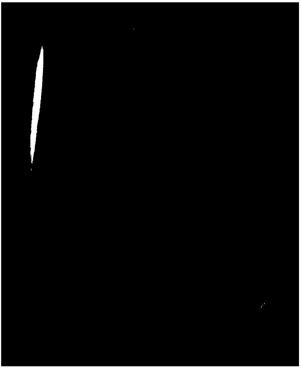 Method for inducing flowering of caryophyllaceae plant