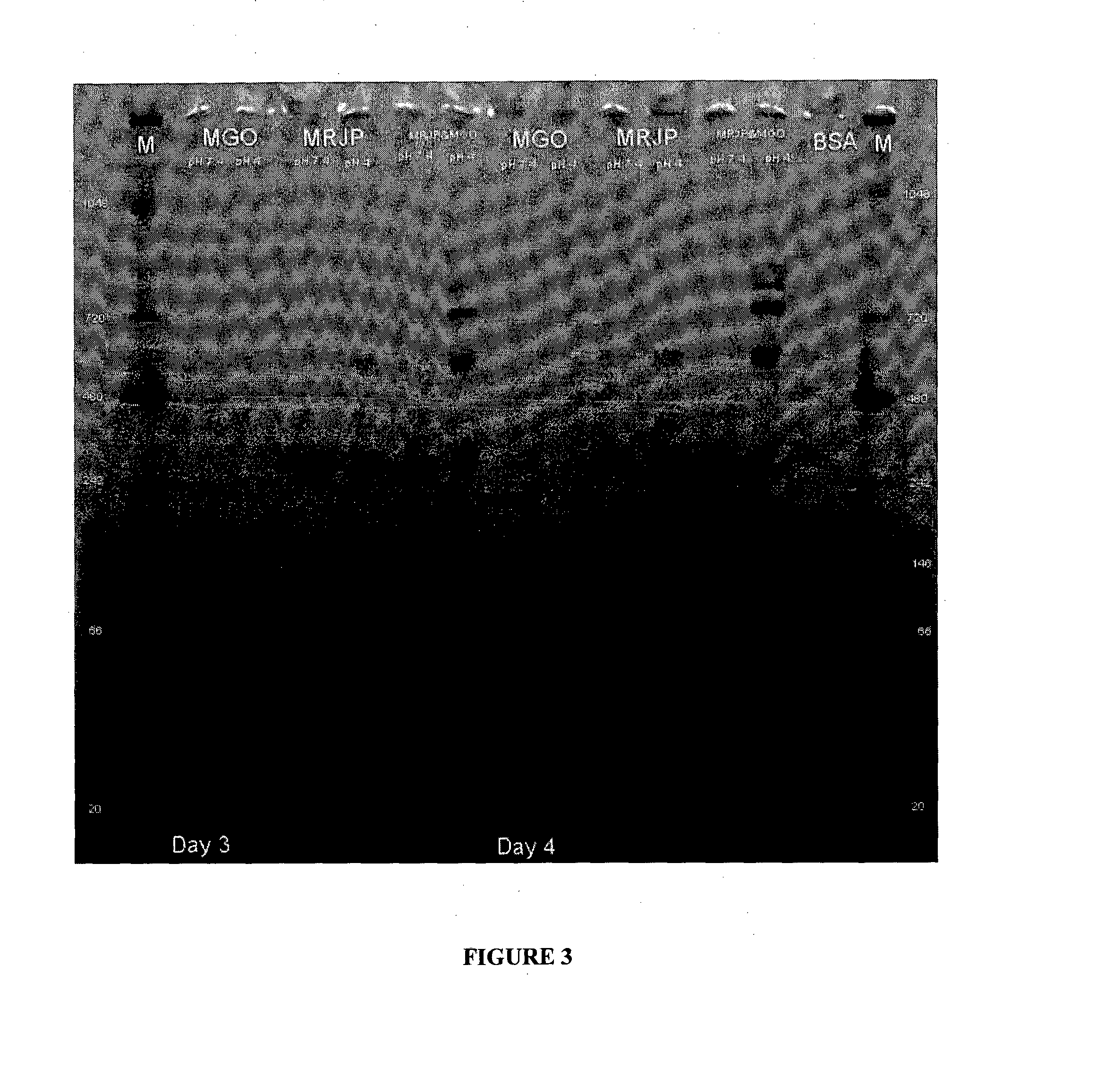 Anti-inflammatory proteins and peptides and methods of preparation and use thereof